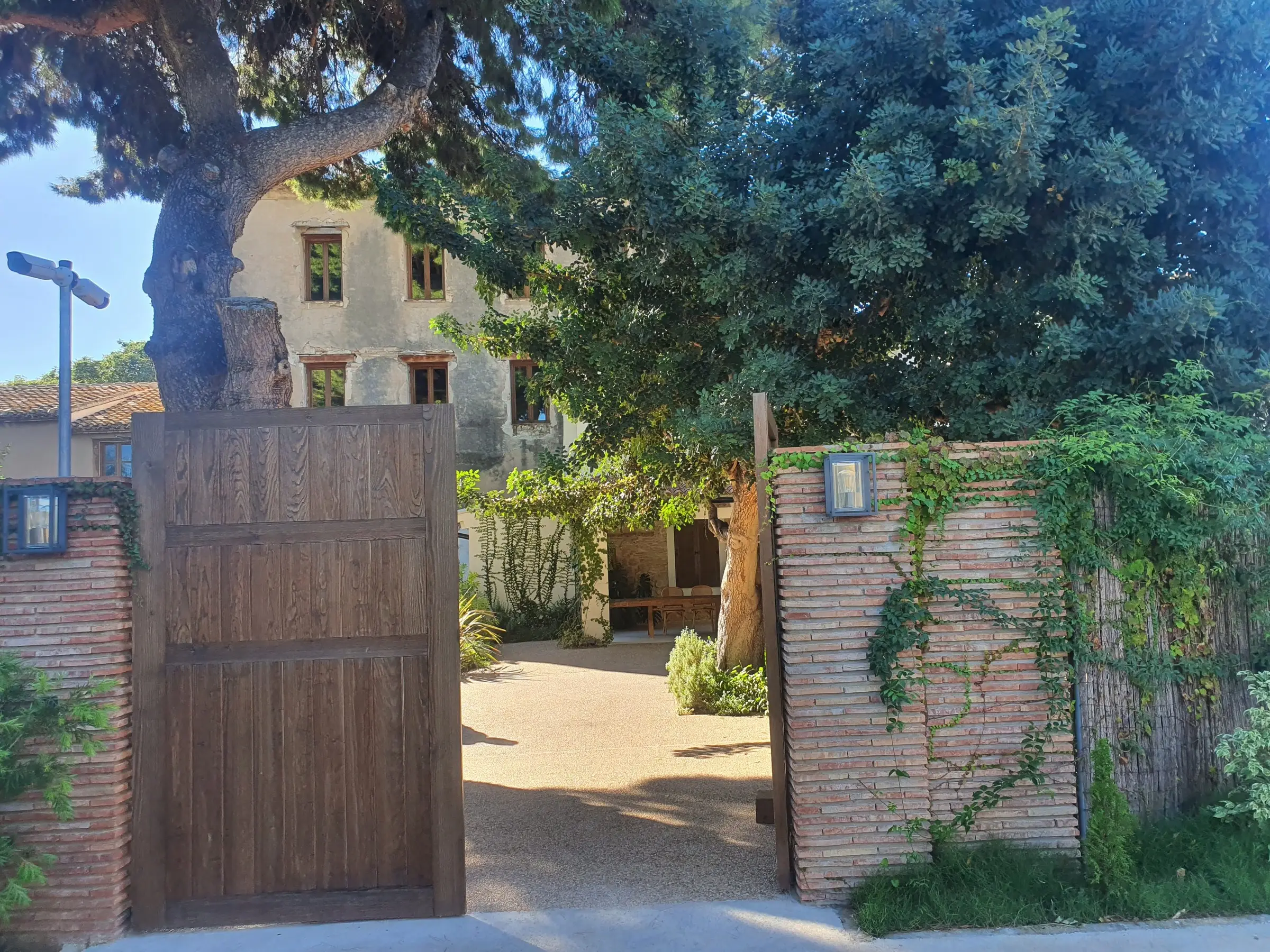 Un portón de madera entre muros de ladrillo cubiertos de hiedra, con un gran pino y árboles detrás