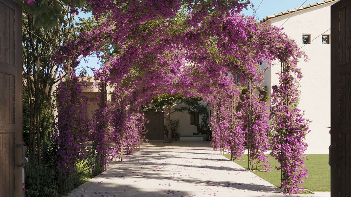 Un túnel de arcos cubiertos de bugambilia morada que lleva desde un portón de madera abierto hasta un patio blanco, con pétalos sobre el camino